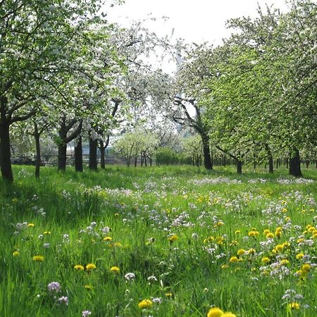 Ferienwohnung Zwischen Rhein Und Schwarzwald Bischweier Kültér fotó