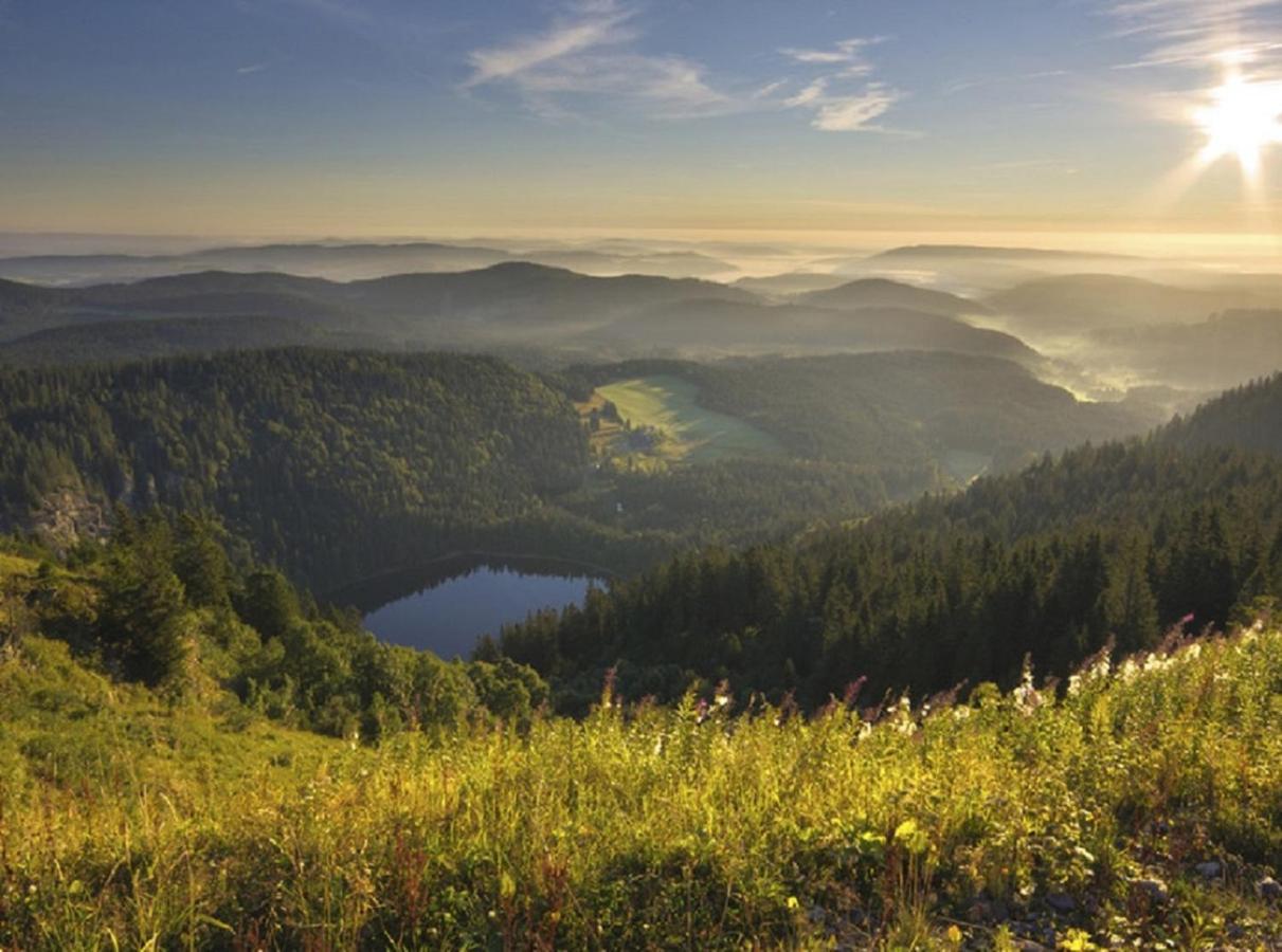 Ferienwohnung Zwischen Rhein Und Schwarzwald Bischweier Kültér fotó